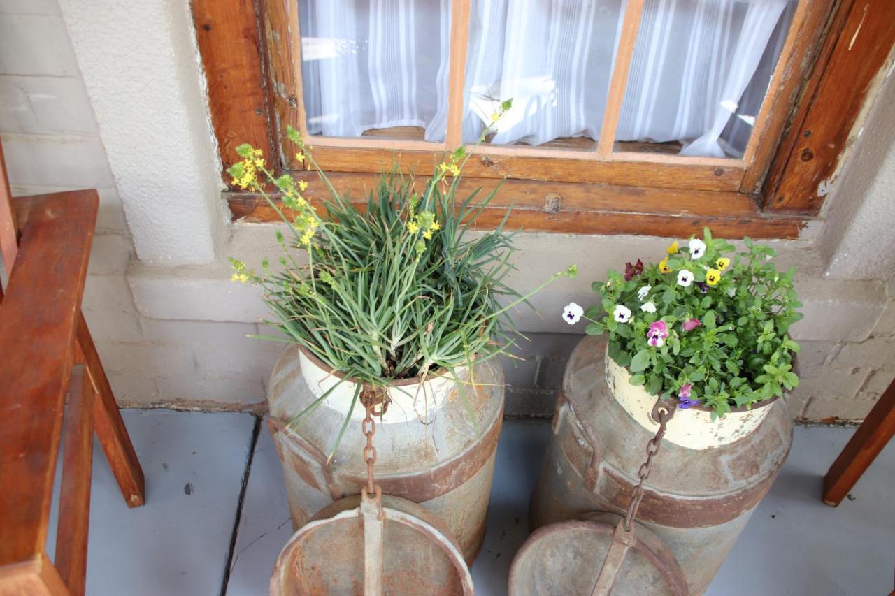Top House Bed And Breakfast Ladybrand 외부 사진